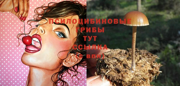 круглые Аркадак